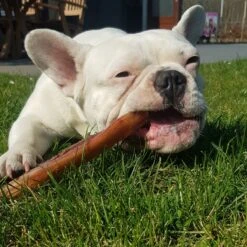 Topdiervoeding Runderkophuid Hondensnacks - Vers Gedroogd - 20cm - 1000 Gram -Hondenartikelen Serie Winkel 1200x1200 170