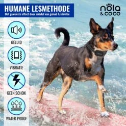 Nola & Coco® Oplaadbare Anti Blafband - 4 Kleuren - Zonder Schok - Waterdichte Diervriendelijke Blaf Halsband - Opvoedingshalsband - Voor Grote En Kleine Honden - Lichte Vibratie En Geluid - 3 Tot 60kg -Hondenartikelen Serie Winkel 1200x1200 1711