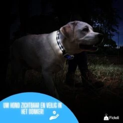 Fideli Anti Blafband - Zonder Schok - Grote En Kleine Honden - Oplaadbaar - LED Verlichte Band -Hondenartikelen Serie Winkel 1200x1200 1720