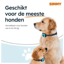 Simmy Anti Blafband - Diervriendelijke Opvoedingshalsband - Zwart En Blauw - Diervriendelijk - Zonder Schok - Anti Blaf Band Voor Grote En Kleine Honden -Hondenartikelen Serie Winkel 1200x1200 1729