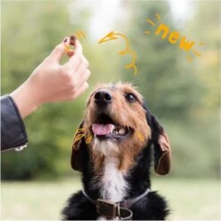 Merkloos Edgard & Cooper Lam & Rund Bites - Voor Honden - Hondensnack - 50g 26 Merkloos Edgard & Cooper Lam & Rund Bites - Voor Honden - Hondensnack - 50g -Hondenartikelen Serie Winkel 1200x1200 173