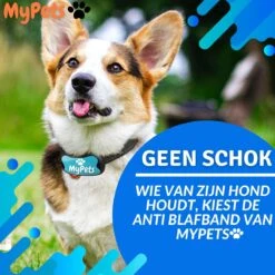 MyPets™ Anti-blafband - Anti Blaf Apparaat - Voor Kleine Honden En Grote Honden - Diervriendelijk - Opvoedingshalsband - Trainingshalsband - 2022/2023 Versie - Inclusief Batterijen 14 MyPets™ Anti-blafband - Anti Blaf Apparaat - Voor Kleine Honden En Grote Honden - Diervriendelijk - Opvoedingshalsband - Trainingshalsband - 2022/2023 Versie - Inclusief Batterijen -Hondenartikelen Serie Winkel 1200x1200 1733