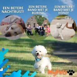 MyPets™ Anti-blafband - Anti Blaf Apparaat - Voor Kleine Honden En Grote Honden - Diervriendelijk - Opvoedingshalsband - Trainingshalsband - 2022/2023 Versie - Inclusief Batterijen 21 MyPets™ Anti-blafband - Anti Blaf Apparaat - Voor Kleine Honden En Grote Honden - Diervriendelijk - Opvoedingshalsband - Trainingshalsband - 2022/2023 Versie - Inclusief Batterijen -Hondenartikelen Serie Winkel 1200x1200 1736