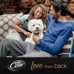 Cesar Primeur Paté Honden Natvoer - Kalf & Worteltjes - 10 X 300 Gr -Hondenartikelen Serie Winkel 1200x1200 177