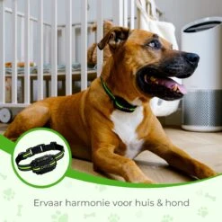 Petz - Anti Blafband - Anti Blafband Voor Kleine En Grote Honden - 5-55 KG - Vibratie En Audio - Diervriendelijk - GEEN Schokken - Opvoedingshalsband Zonder Schok En Diervriendelijk - Waterdicht - Oplaadbaar -Hondenartikelen Serie Winkel 1200x1200 1776