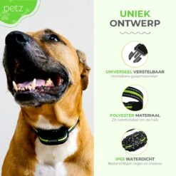 Petz - Anti Blafband - Anti Blafband Voor Kleine En Grote Honden - 5-55 KG - Vibratie En Audio - Diervriendelijk - GEEN Schokken - Opvoedingshalsband Zonder Schok En Diervriendelijk - Waterdicht - Oplaadbaar -Hondenartikelen Serie Winkel 1200x1200 1777
