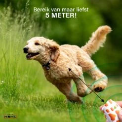 Merkloos LotaHome - Anti Blaf Apparaat - Hondentrainer Voor Binnen En Buiten - Bereik Tot 15 Meter - Diervriendelijk - Zonder Schok - Ultrasone - Voor Alle Honden - Inclusief Clicker -Hondenartikelen Serie Winkel 1200x1200 1786