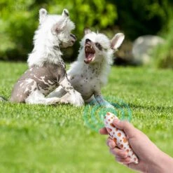 Merkloos LotaHome - Anti Blaf Apparaat - Hondentrainer Voor Binnen En Buiten - Bereik Tot 15 Meter - Diervriendelijk - Zonder Schok - Ultrasone - Voor Alle Honden - Inclusief Clicker -Hondenartikelen Serie Winkel 1200x1200 1787