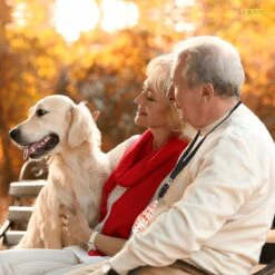 Merkloos LotaHome - Anti Blaf Apparaat - Hondentrainer Voor Binnen En Buiten - Bereik Tot 15 Meter - Diervriendelijk - Zonder Schok - Ultrasone - Voor Alle Honden - Inclusief Clicker -Hondenartikelen Serie Winkel 1200x1200 1788