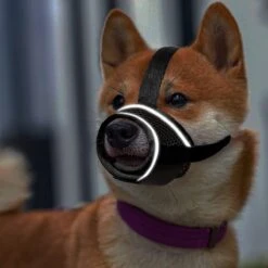 Merkloos Hoog Kwaliteit Muilkorf Met Bedrukt Patroon - Muilkorf Hond - Hondensnuit - Anti Blaf En Bijt - Voor Kleine En Grote Honden Maat M Zwart Reflecterend -Hondenartikelen Serie Winkel 1200x1200 1792