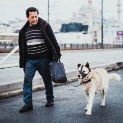 Merkloos Hoog Kwaliteit Muilkorf Met Bedrukt Patroon - Muilkorf Hond - Hondensnuit - Anti Blaf En Bijt - Voor Kleine En Grote Honden Maat M Zwart Reflecterend -Hondenartikelen Serie Winkel 1200x1200 1793