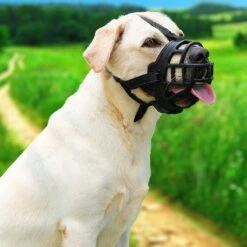 Sharon B Muilkorf Hond - Zwart - XXL - Voor Zeer Grote Honden - Snuitomtrek 38-43 Cm -Hondenartikelen Serie Winkel 1200x1200 1798