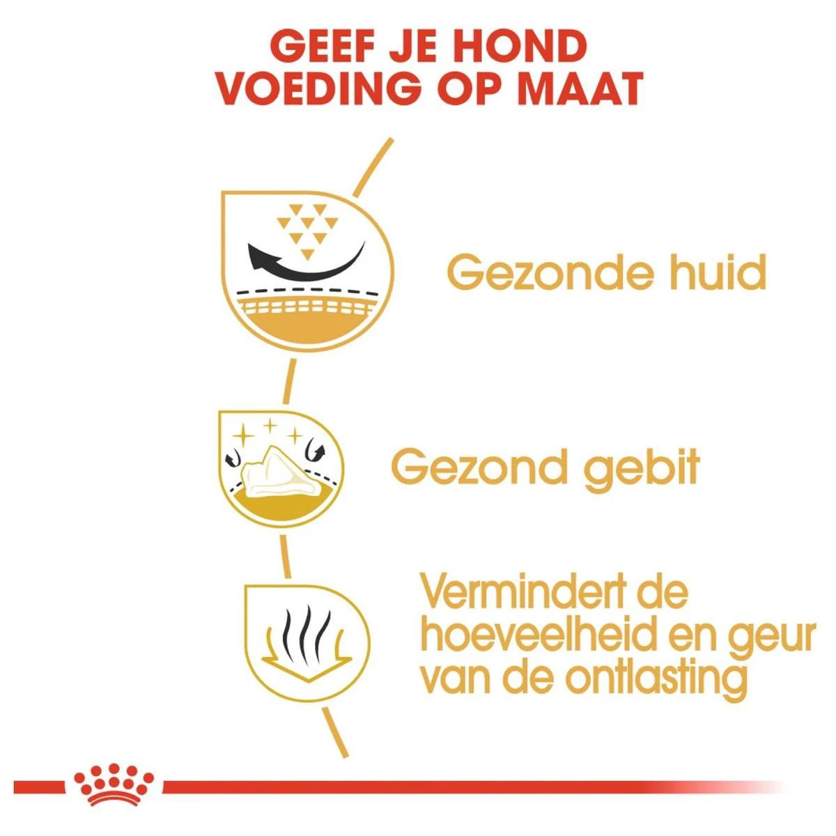 Royal Canin Shih Tzu Adult 7.5 KG 6 Royal Canin Shih Tzu Adult 7.5 KG - Afbeelding 4