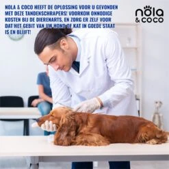 Nola & Coco® Tandsteen Verwijderaar Set Inclusief Bewaardoosje - Tandenkrabber - Set Van Twee - Hond - Kat - Tandenborstel - Tandplak Verwijderen - Tandenstoker - Honden Tanden Schoonmaken - Tandenhaakje - Gebitsreiniging -Hondenartikelen Serie Winkel 1200x1200 1814