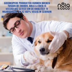 Nola & Coco® Tandsteen Verwijderaar Set Inclusief Bewaardoosje - Tandenkrabber - Set Van Twee - Hond - Kat - Tandenborstel - Tandplak Verwijderen - Tandenstoker - Honden Tanden Schoonmaken - Tandenhaakje - Gebitsreiniging -Hondenartikelen Serie Winkel 1200x1200 1815