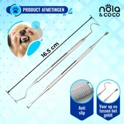 Nola & Coco® Tandsteen Verwijderaar Set Inclusief Bewaardoosje - Tandenkrabber - Set Van Twee - Hond - Kat - Tandenborstel - Tandplak Verwijderen - Tandenstoker - Honden Tanden Schoonmaken - Tandenhaakje - Gebitsreiniging -Hondenartikelen Serie Winkel 1200x1200 1816