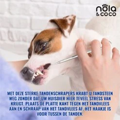 Nola & Coco® Tandsteen Verwijderaar Set Inclusief Bewaardoosje - Tandenkrabber - Set Van Twee - Hond - Kat - Tandenborstel - Tandplak Verwijderen - Tandenstoker - Honden Tanden Schoonmaken - Tandenhaakje - Gebitsreiniging -Hondenartikelen Serie Winkel 1200x1200 1817