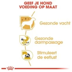 Royal Canin Chihuahua Pouch (12X85 GR) -Hondenartikelen Serie Winkel 1200x1200 184