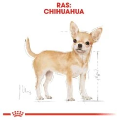 Royal Canin Chihuahua Pouch (12X85 GR) -Hondenartikelen Serie Winkel 1200x1200 185