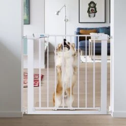 Nobleza 47B4V - Hondenhek - Metaal - H76 X L75-82 Cm - Wit