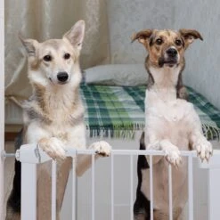 Nobleza 47B4V - Hondenhek - Metaal - H76 X L75-82 Cm - Wit 14 Nobleza 47B4V - Hondenhek - Metaal - H76 X L75-82 Cm - Wit -Hondenartikelen Serie Winkel 1200x1200 1855