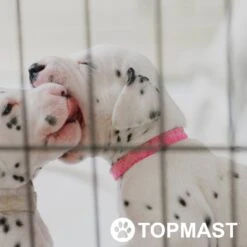 Topmast Puppyren Uitvouwbaar - Zwart - 560 Cm Omtrek - 76 Cm Hoog - Opvouwbaar - Expandable XL - Hondenren -Hondenartikelen Serie Winkel 1200x1200 1917