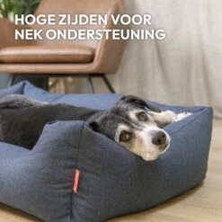 Snoozle Hondenmand - Zacht En Luxe Hondenkussen - Hondenbed - Wasbaar - Hondenmanden - 80 X 60cm 18 Snoozle Hondenmand - Zacht En Luxe Hondenkussen - Hondenbed - Wasbaar - Hondenmanden - 80 X 60cm -Hondenartikelen Serie Winkel 1200x1200 194