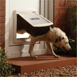 Petsafe 760 Hondenluik - L - Wit - 37 X 31,4 Cm 27 Petsafe 760 Hondenluik - L - Wit - 37 X 31,4 Cm -Hondenartikelen Serie Winkel 1200x1200 1942