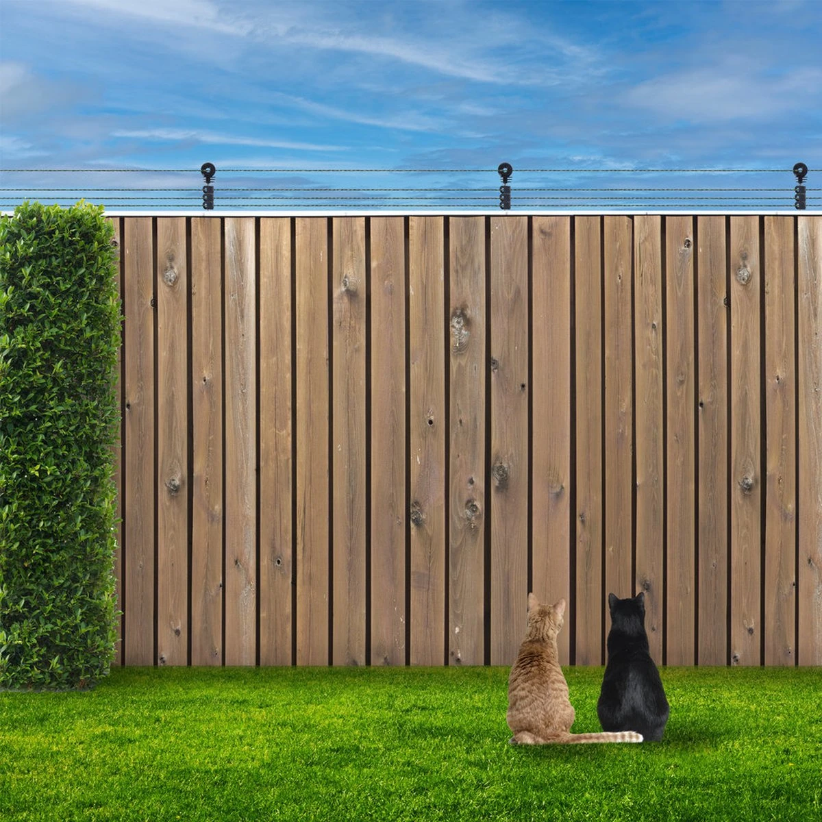 Katten Schrikdraad Set Voor Op De Schutting 6 Katten Schrikdraad Set Voor Op De Schutting - Afbeelding 4