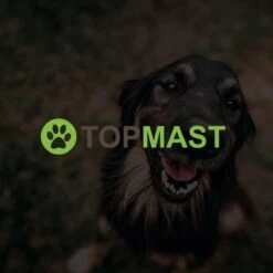 Merkloos Topmast Premium Puppyren - 120 Cm Hoog - 640 Cm Omtrek - Hondenren - Hondenhok - Zwart 11 Merkloos Topmast Premium Puppyren - 120 Cm Hoog - 640 Cm Omtrek - Hondenren - Hondenhok - Zwart -Hondenartikelen Serie Winkel 1200x1200 1966