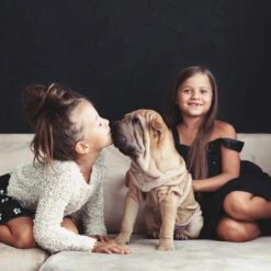 Relaxdays Puppyren - Hondenren - Puppykennel - Konijnenren - Bodem - Metaal - Div. Grootte - M -Hondenartikelen Serie Winkel 1200x1200 1975