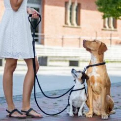 Rebel Petz - Dubbele Verstelbare Hondenriem Voor Twee Honden - Met Draaibare Sluiting En Zacht Handvat - Small En Large - Small (140 Cm Lang, Ø 8 Mm) -Hondenartikelen Serie Winkel 1200x1200 2005