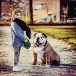 IGOODS - Hondenriem - Katten Riem - Uitlaatriem Voor Honden En Katten - Honden Riem- Rollijn - 5 Meter Lang 17 IGOODS - Hondenriem - Katten Riem - Uitlaatriem Voor Honden En Katten - Honden Riem- Rollijn - 5 Meter Lang -Hondenartikelen Serie Winkel 1200x1200 2018