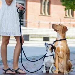 Rebel Petz - Dubbele Verstelbare Hondenriem Voor Twee Honden - Met Draaibare Sluiting En Zacht Handvat - Small En Large - Large (140 Cm Lang, Ø 12 Mm) -Hondenartikelen Serie Winkel 1200x1200 2044