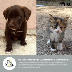 Filo Elastische Hondenriem Groot - Hardlopen En Wandelen - Hardloopriem Hond Handsfree Met Heuptasje - Looplijn Met Heupriem - Canicross Gordel Honden - Riemen - Heupgordel - Leiband -Hondenartikelen Serie Winkel 1200x1200 2057