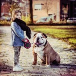 IGOODS - Uitlaatriem - Honden Riem - Katten Riem - Uitlaatriem Voor Dieren - Rollijn - 5 Meter Lang Roze 16 IGOODS - Uitlaatriem - Honden Riem - Katten Riem - Uitlaatriem Voor Dieren - Rollijn - 5 Meter Lang Roze -Hondenartikelen Serie Winkel 1200x1200 2059