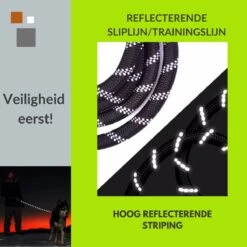 1FORME Hondenriem 15-30kg - Sliplijn Hond REFLECTEREND 2m, Ø 1.2cm - Jachtlijn 2 Ergonomische Handvaten - Dubbel Stop -Hondenartikelen Serie Winkel 1200x1200 2065