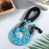 Merkloos Reflecterende Hondenriem - Nylon Hondenlijn – Honden Riem Met Soft Handvat – Blauw – 150CM -Hondenartikelen Serie Winkel 1200x1200 2085