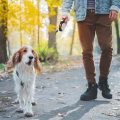 Hondenriem Tape - 5 Meter - Medium - Voor Honden <25 Kg - Zwart-Wit -Hondenartikelen Serie Winkel 1200x1200 2091