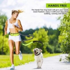 Hondenriem Hardloopriem Elastische Reflecterende Geschikt Voor Hardlopen - Handsfree Riem Met Opbergtasje – Hond Looplijn - Schokabsorberend - Groen -Hondenartikelen Serie Winkel 1200x1200 2103