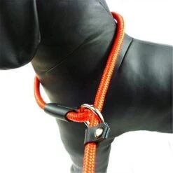 LOUZIR Cesar Millan Sliplijn Met Stop - Hondenriem - Rood - 130 Cm -Hondenartikelen Serie Winkel 1200x1200 2106