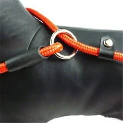 LOUZIR Cesar Millan Sliplijn Met Stop - Hondenriem - Rood - 130 Cm -Hondenartikelen Serie Winkel 1200x1200 2109