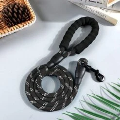 Comfortabele Hondenriem Met Gevoerd Handvat – Stevige Nylon Hondenlijn – Riem Voor Honden 15 Comfortabele Hondenriem Met Gevoerd Handvat – Stevige Nylon Hondenlijn – Riem Voor Honden -Hondenartikelen Serie Winkel 1200x1200 2115