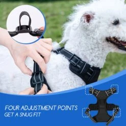 Nobleza 42ZHW - Hondenharnas - Hondentuigje - Anti Trek - S - Zwart 10 Nobleza 42ZHW - Hondenharnas - Hondentuigje - Anti Trek - S - Zwart -Hondenartikelen Serie Winkel 1200x1200 2123