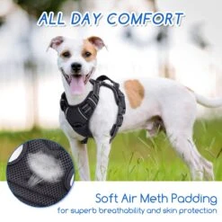 Nobleza 42ZHW - Hondenharnas - Hondentuigje - Anti Trek - S - Zwart 13 Nobleza 42ZHW - Hondenharnas - Hondentuigje - Anti Trek - S - Zwart -Hondenartikelen Serie Winkel 1200x1200 2124