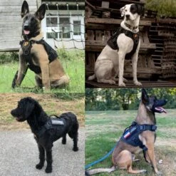 Always Prepared © Pro K9 Hondentuig - Anti Trek - Y Tuig - Middel En Grote Hond - Veiligheidstuig -Hondenartikelen Serie Winkel 1200x1200 2125