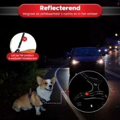 Purrr Fect Hondentuigje - Anti-Trek Tuig - Hondenharnas - Y Tuig Hond - Waterproof - Reflecterend - Verstelbaar - Maat M -Hondenartikelen Serie Winkel 1200x1200 2133