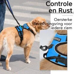 Sharon B - Hondentuigje - Voor Middelgrote Honden - Blauw - Maat M - No Pull Harnas - Anti Trek - Reflecterend - Hoeft Niet Over Het Hoofd Aangetrokken Te Worden -Hondenartikelen Serie Winkel 1200x1200 2145