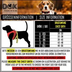 DDOXX Borstharnas Air Mesh, Step-In, Reflecterend | Vele Kleuren | Voor Kleine, Middelgrote En Middelgrote Honden | Hondenharnas Hond Kat Puppy | Kattenharnas Puppy Harnas | Zwart, M 27 DDOXX Borstharnas Air Mesh, Step-In, Reflecterend | Vele Kleuren | Voor Kleine, Middelgrote En Middelgrote Honden | Hondenharnas Hond Kat Puppy | Kattenharnas Puppy Harnas | Zwart, M -Hondenartikelen Serie Winkel 1200x1200 2152