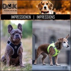 DDOXX Borstharnas Air Mesh, Step-In, Reflecterend | Vele Kleuren | Voor Kleine, Middelgrote En Middelgrote Honden | Hondenharnas Hond Kat Puppy | Kattenharnas Puppy Harnas | Zwart, M 32 DDOXX Borstharnas Air Mesh, Step-In, Reflecterend | Vele Kleuren | Voor Kleine, Middelgrote En Middelgrote Honden | Hondenharnas Hond Kat Puppy | Kattenharnas Puppy Harnas | Zwart, M -Hondenartikelen Serie Winkel 1200x1200 2154